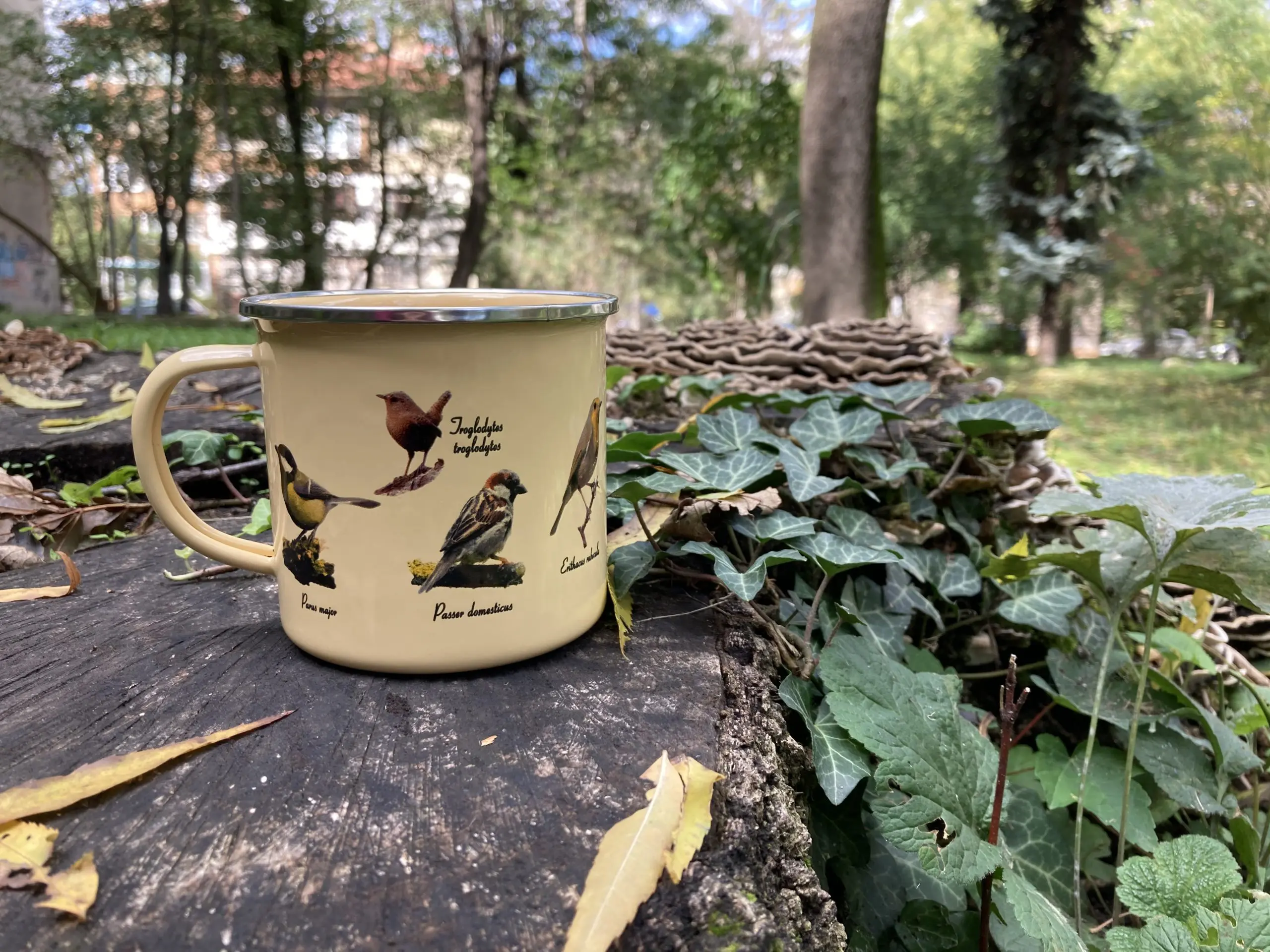 Емайлирано канче "Птици"
