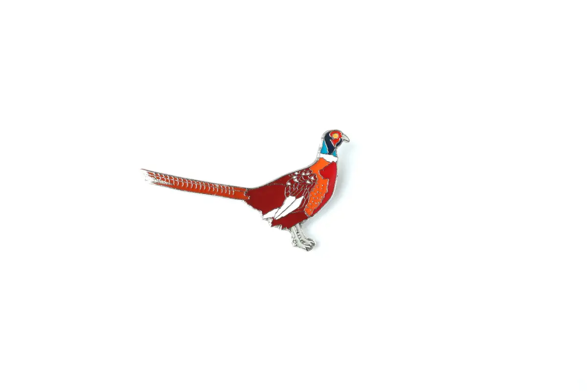 Common Pheasant