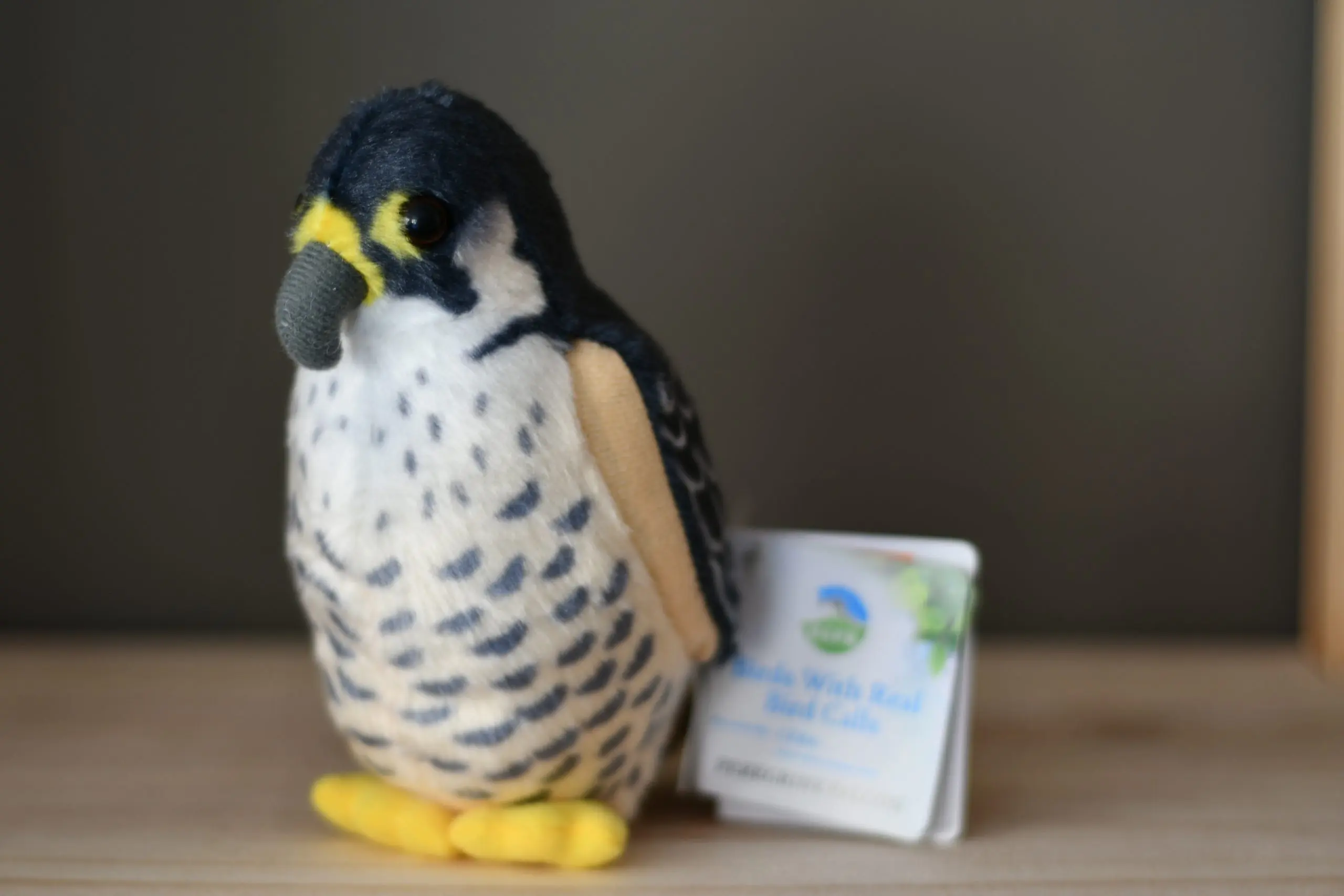 Plush singing bird toy – Peregrine Falcon
