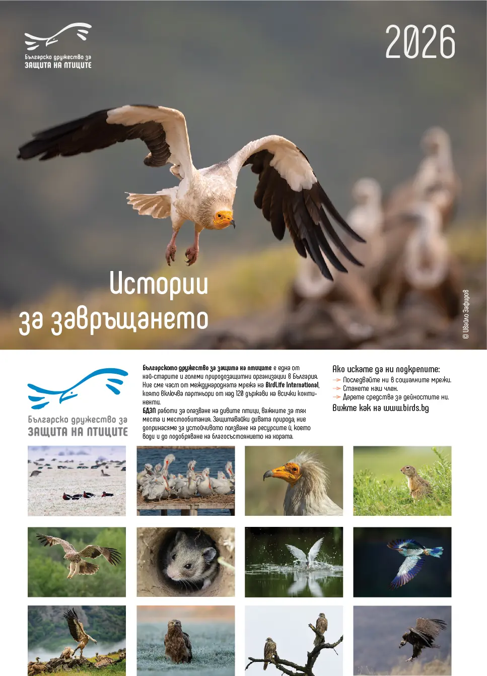 Календар 2026 - Image 2