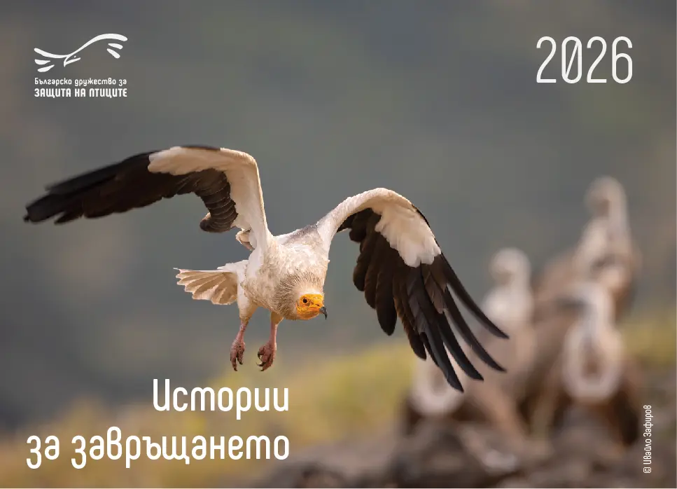 Календар 2026