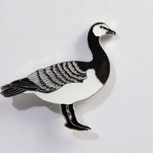 Barnacle Goose