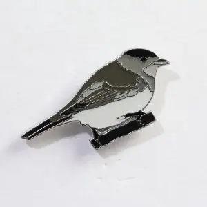 Eurasian Blackcap