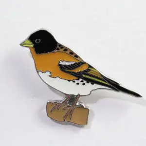 Brambling