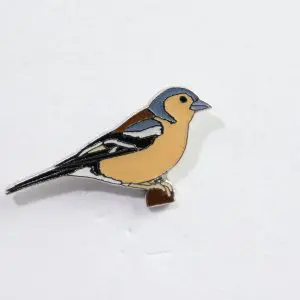Common Chaffinch