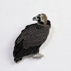 Cinereous Vulture