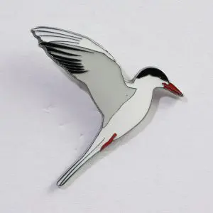 Common Tern