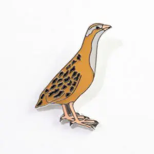 Corn Crake