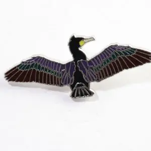 Great Cormorant