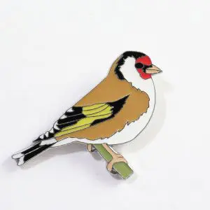 European Goldfinch
