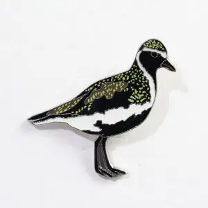 European Golden Oriole
