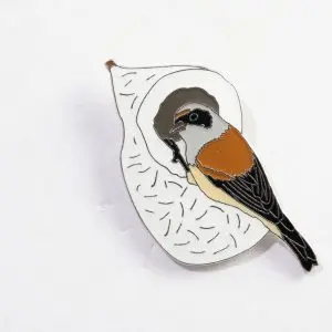 Eurasian Penduline Tit