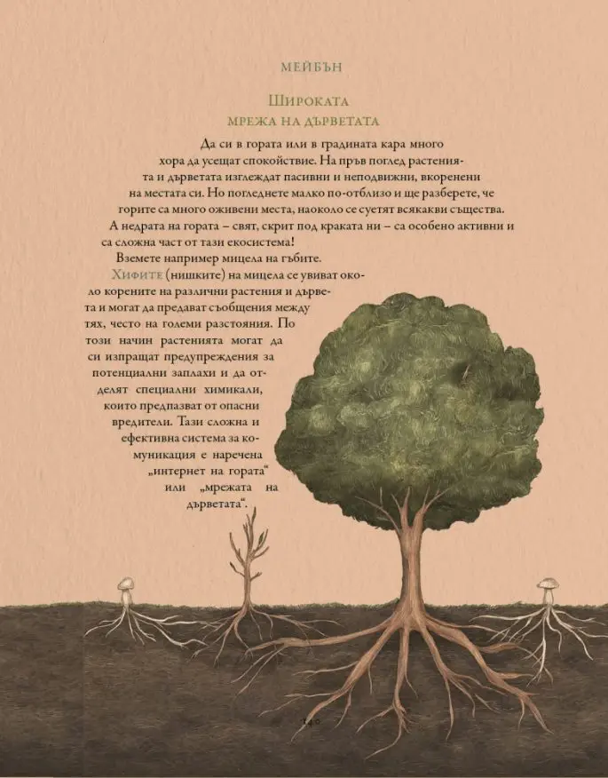 Колелото на годината - Image 4